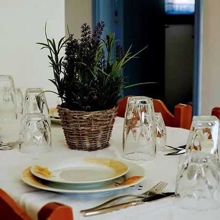 Irene Family * Сими